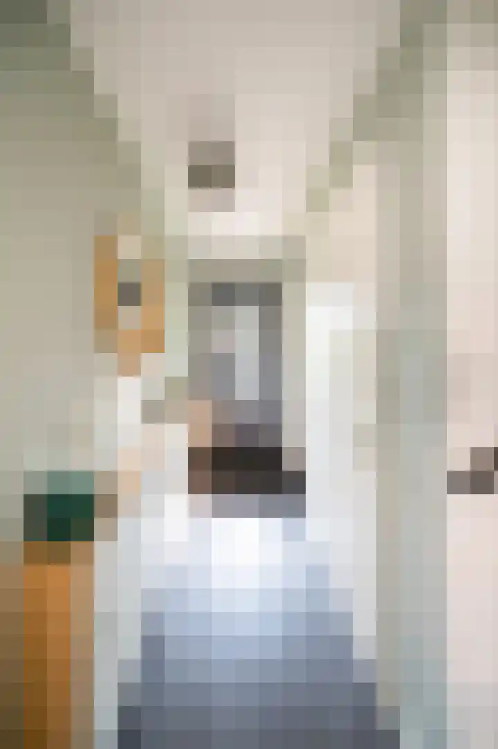 Ds. Wisseweg 19 Elspeet thumbnail 6