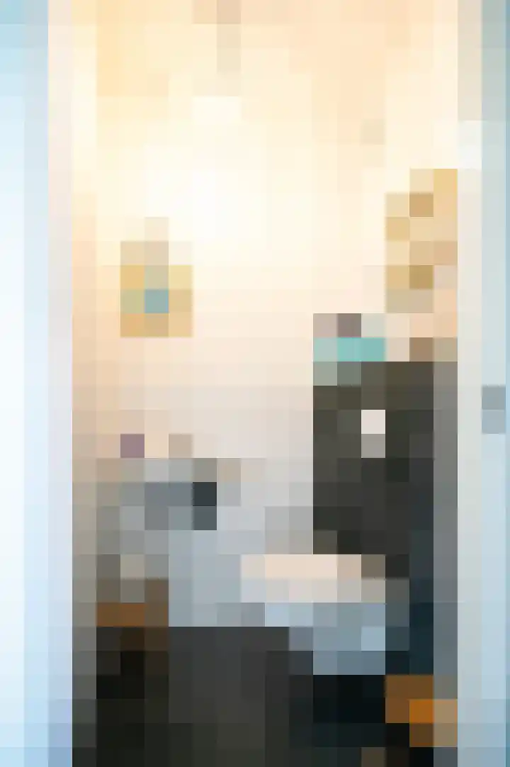 Ds. Wisseweg 19 Elspeet thumbnail 8