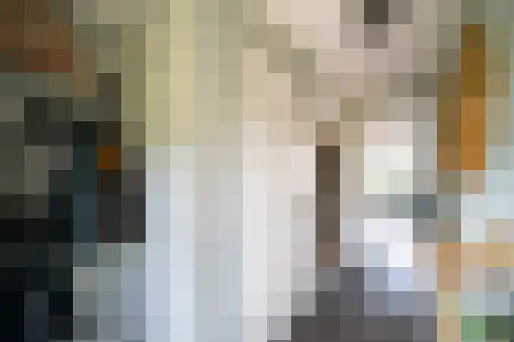 Ds. Wisseweg 19 Elspeet thumbnail 9