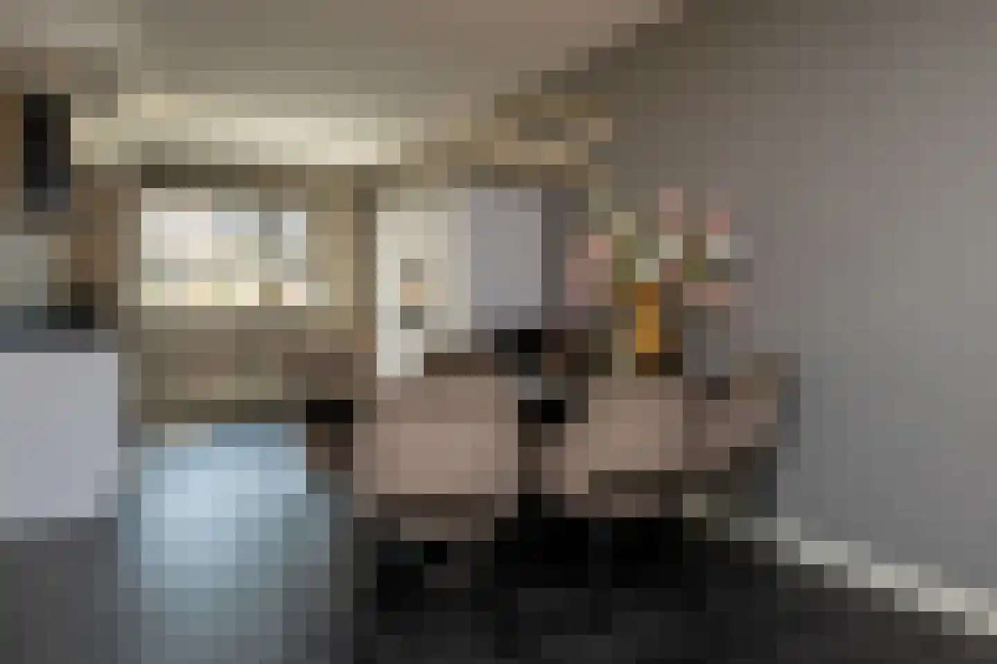 Ds. Wisseweg 21 Elspeet thumbnail 19