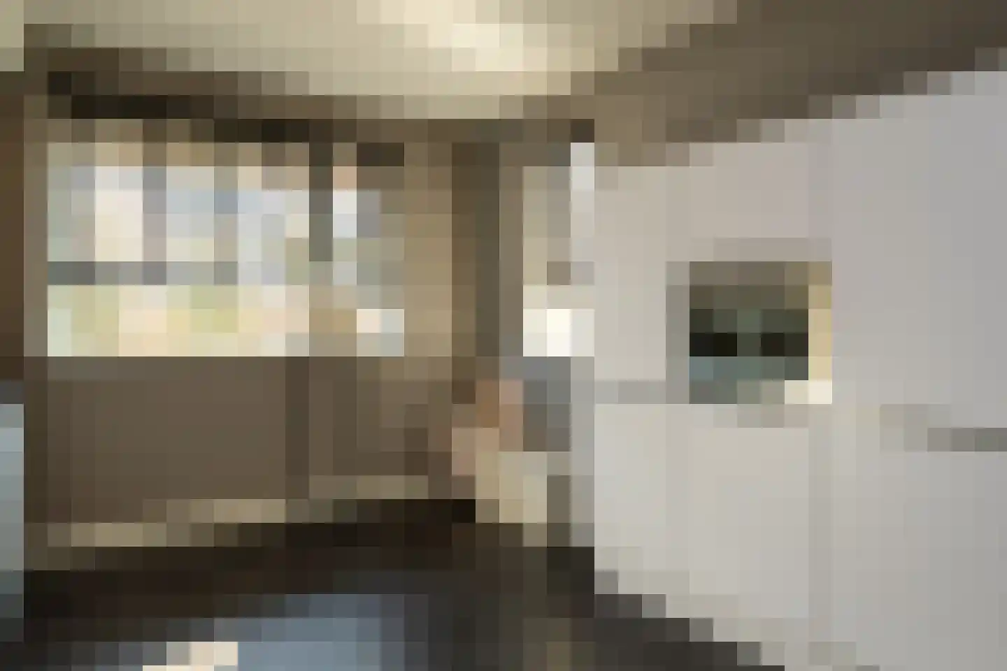 Ds. Wisseweg 21 Elspeet thumbnail 21