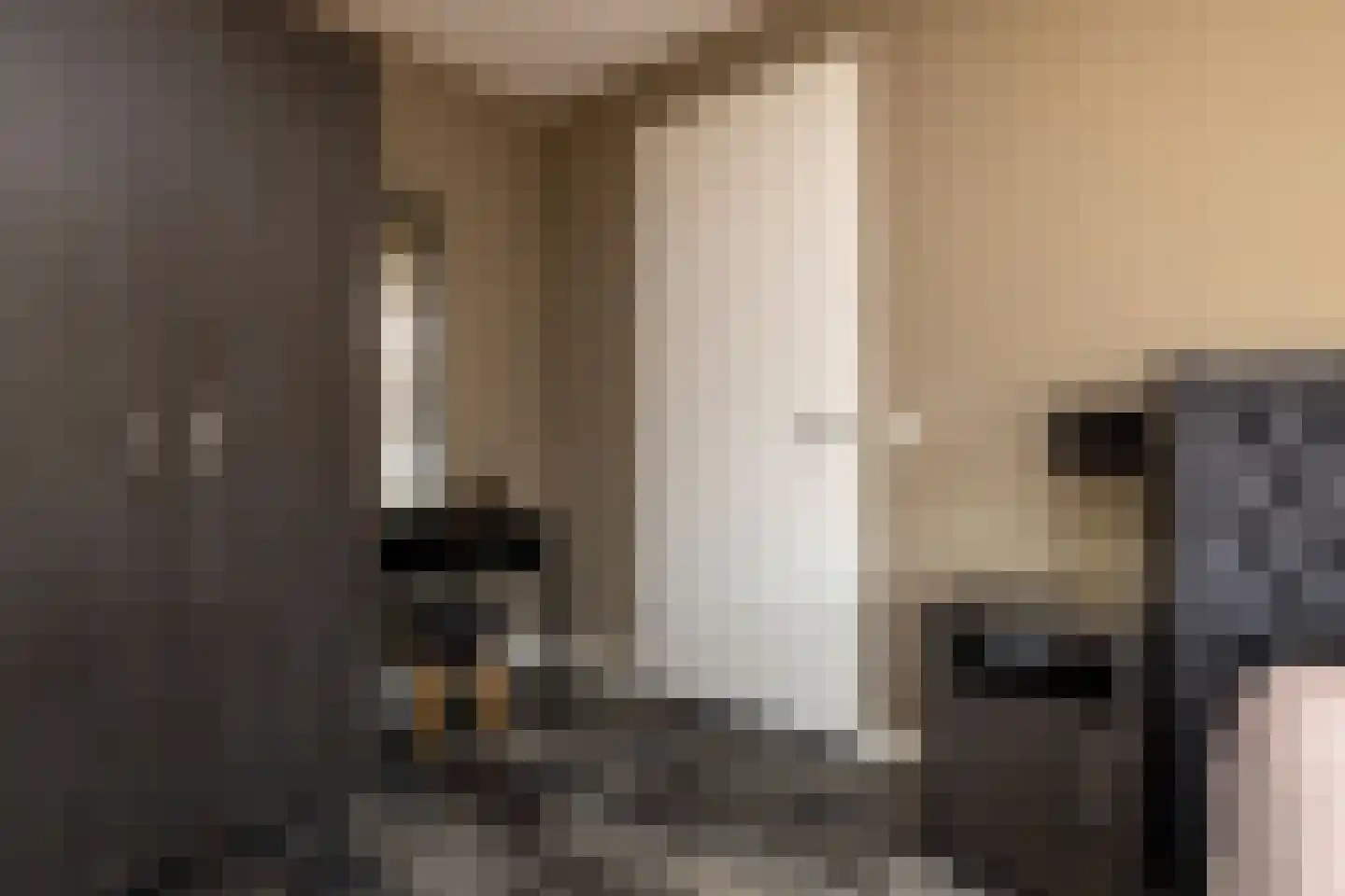 Ds. Wisseweg 21 Elspeet thumbnail 31