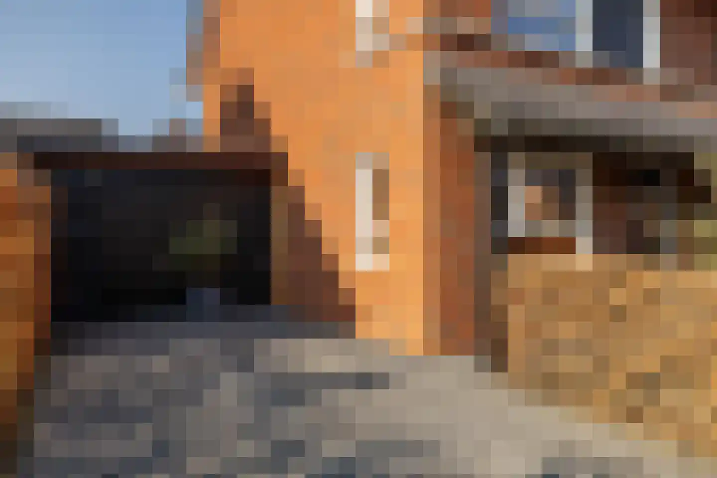 Ds. Wisseweg 21 Elspeet thumbnail 5