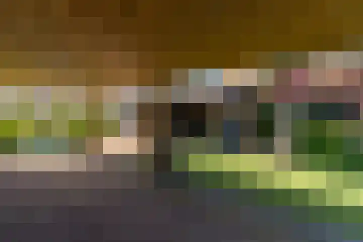 Ds. Wisseweg 29 Elspeet thumbnail 10
