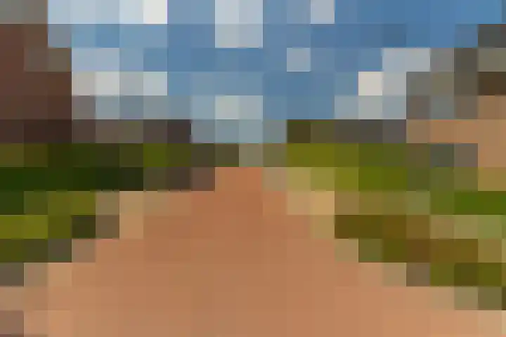 Ds. Wisseweg 29 Elspeet thumbnail 100
