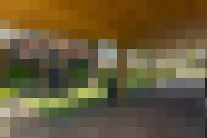 Ds. Wisseweg 29 Elspeet thumbnail 11