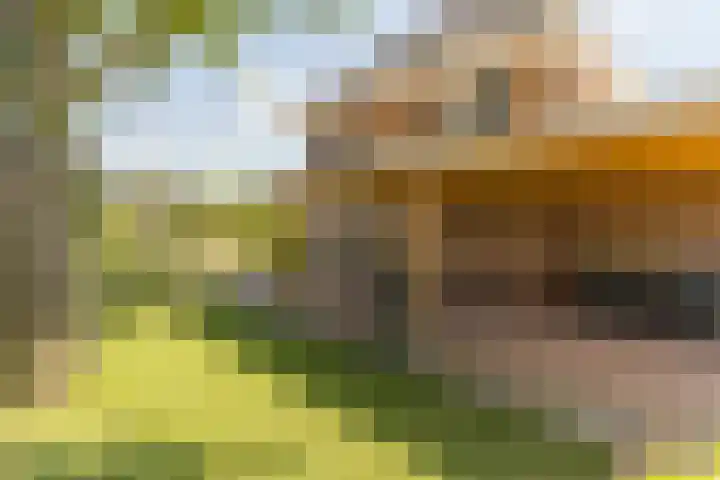 Ds. Wisseweg 29 Elspeet thumbnail 12