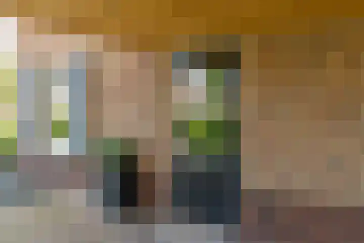 Ds. Wisseweg 29 Elspeet thumbnail 13