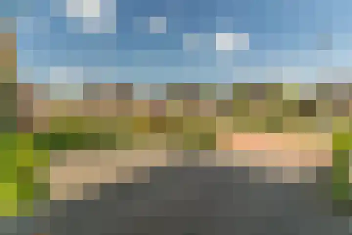 Ds. Wisseweg 29 Elspeet thumbnail 14