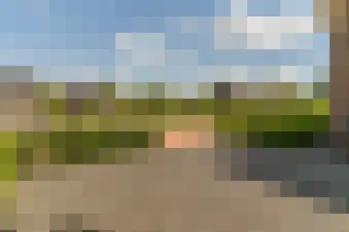 Ds. Wisseweg 29 Elspeet thumbnail 15