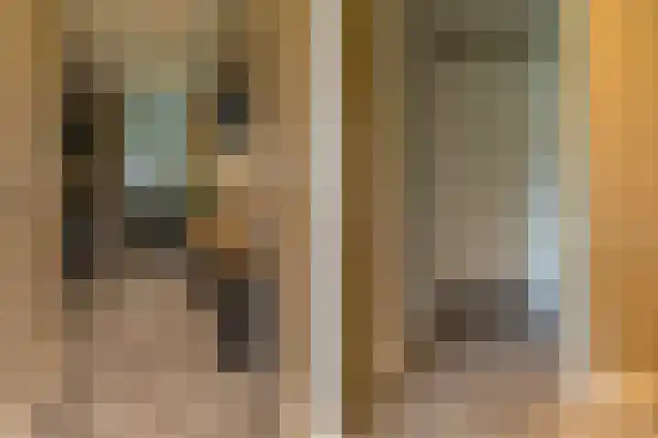 Ds. Wisseweg 29 Elspeet thumbnail 17