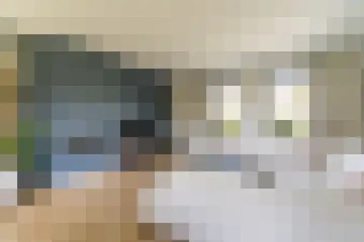 Ds. Wisseweg 29 Elspeet thumbnail 21