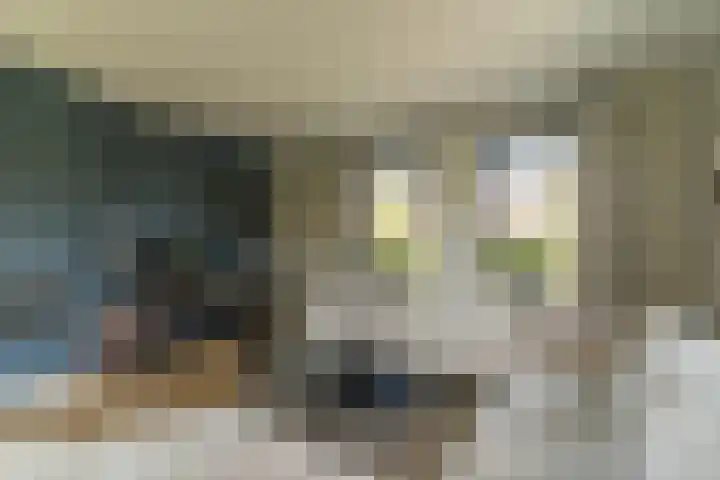 Ds. Wisseweg 29 Elspeet thumbnail 22