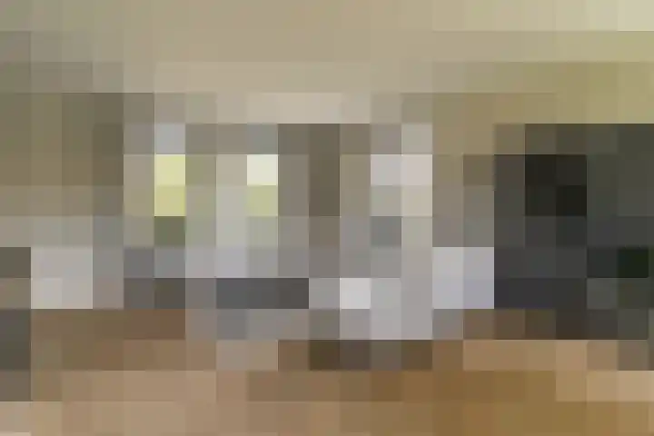 Ds. Wisseweg 29 Elspeet thumbnail 23