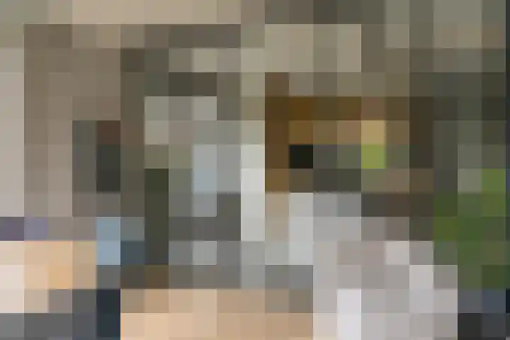 Ds. Wisseweg 29 Elspeet thumbnail 27