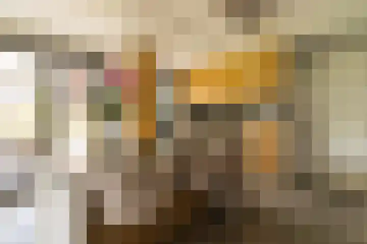 Ds. Wisseweg 29 Elspeet thumbnail 32