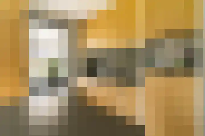 Ds. Wisseweg 29 Elspeet thumbnail 33
