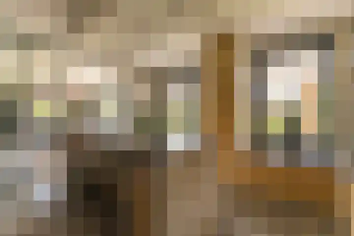 Ds. Wisseweg 29 Elspeet thumbnail 35