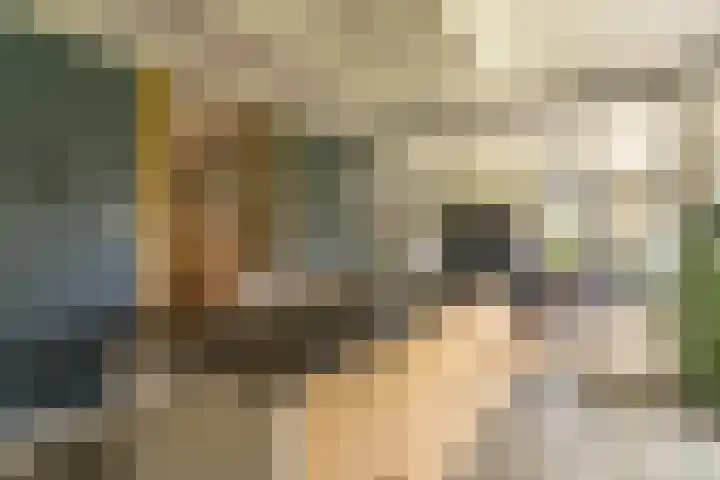 Ds. Wisseweg 29 Elspeet thumbnail 36