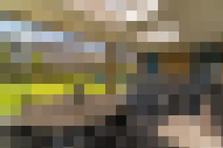 Ds. Wisseweg 29 Elspeet thumbnail 39