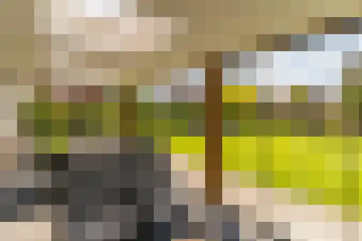 Ds. Wisseweg 29 Elspeet thumbnail 44