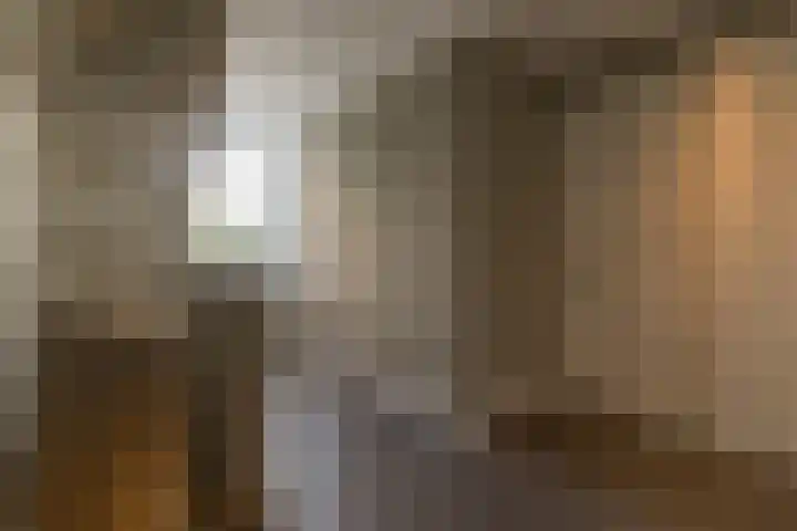 Ds. Wisseweg 29 Elspeet thumbnail 50