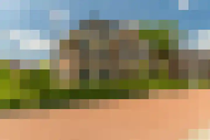 Ds. Wisseweg 29 Elspeet thumbnail 6