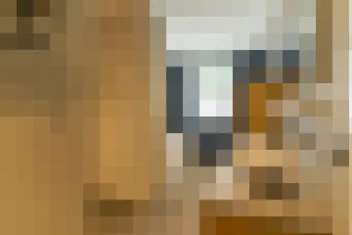 Ds. Wisseweg 29 Elspeet thumbnail 61