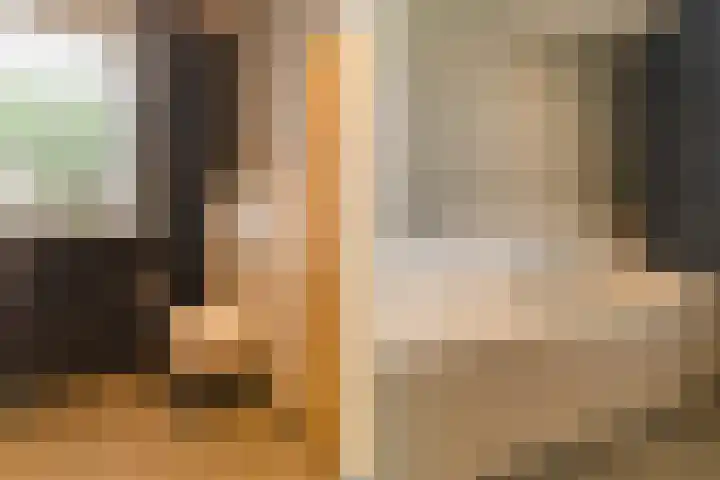 Ds. Wisseweg 29 Elspeet thumbnail 62