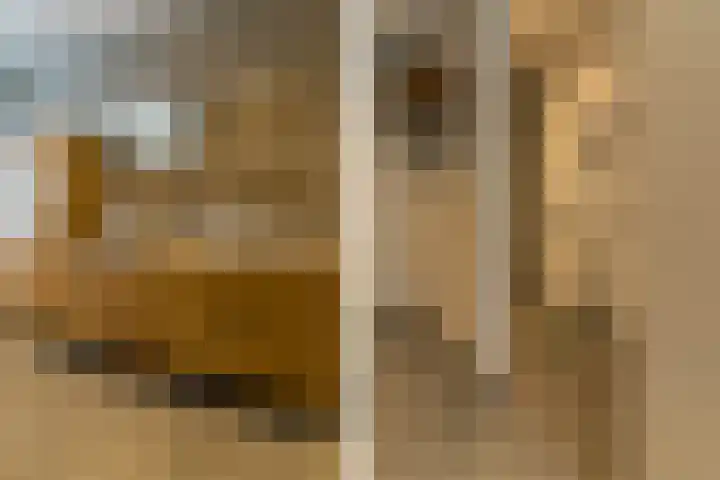 Ds. Wisseweg 29 Elspeet thumbnail 63