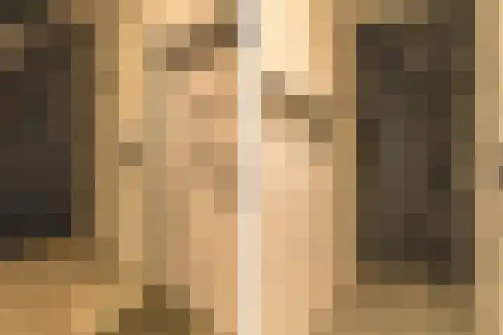Ds. Wisseweg 29 Elspeet thumbnail 64