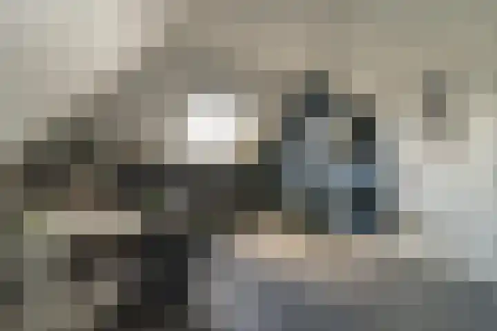 Ds. Wisseweg 29 Elspeet thumbnail 67