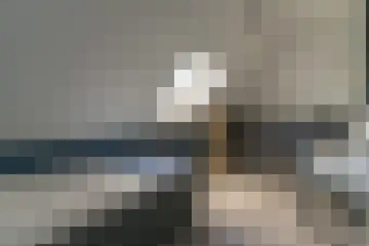Ds. Wisseweg 29 Elspeet thumbnail 68