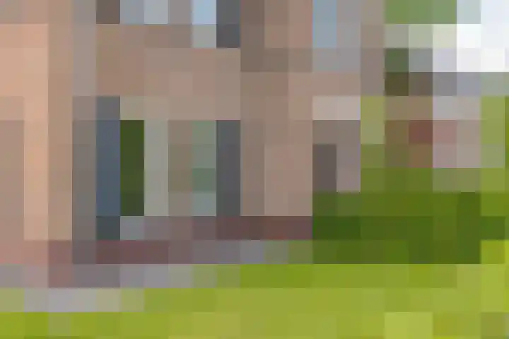 Ds. Wisseweg 29 Elspeet thumbnail 7