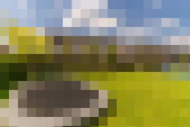 Ds. Wisseweg 29 Elspeet thumbnail 71