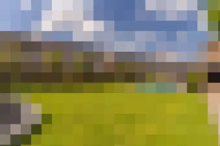 Ds. Wisseweg 29 Elspeet thumbnail 72