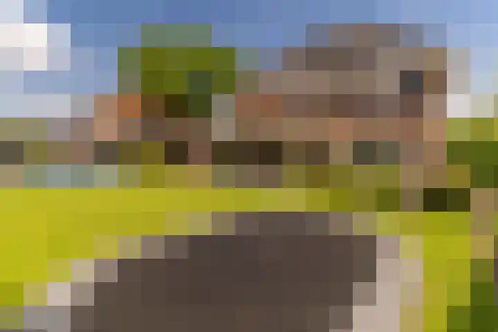 Ds. Wisseweg 29 Elspeet thumbnail 73