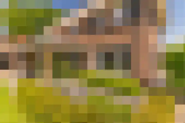 Ds. Wisseweg 29 Elspeet thumbnail 74