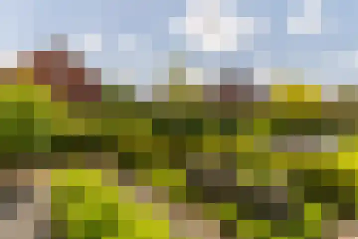 Ds. Wisseweg 29 Elspeet thumbnail 75