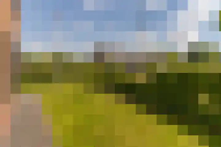 Ds. Wisseweg 29 Elspeet thumbnail 76