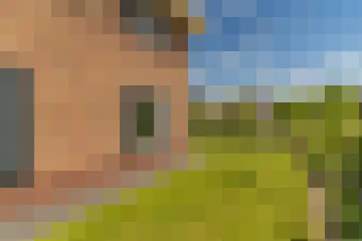 Ds. Wisseweg 29 Elspeet thumbnail 77