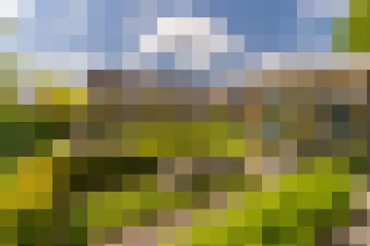 Ds. Wisseweg 29 Elspeet thumbnail 78
