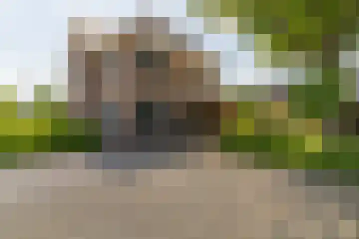 Ds. Wisseweg 29 Elspeet thumbnail 8