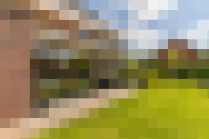Ds. Wisseweg 29 Elspeet thumbnail 87