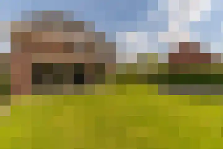 Ds. Wisseweg 29 Elspeet thumbnail 88