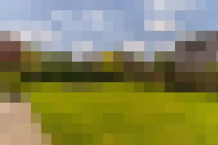 Ds. Wisseweg 29 Elspeet thumbnail 89