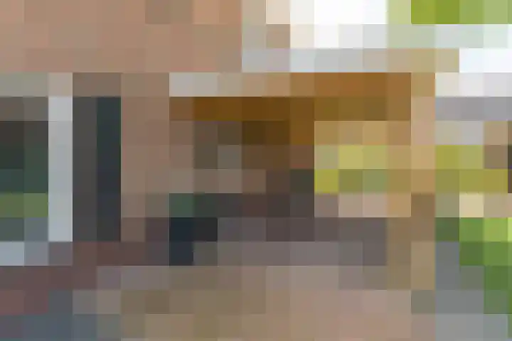 Ds. Wisseweg 29 Elspeet thumbnail 9