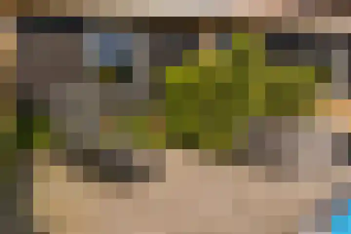 Ds. Wisseweg 29 Elspeet thumbnail 91