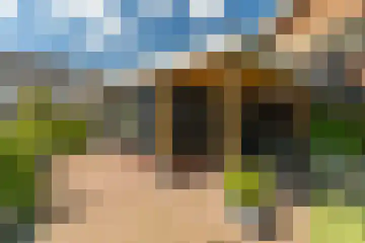 Ds. Wisseweg 29 Elspeet thumbnail 95