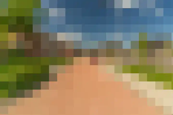 Ds. Wisseweg 29 Elspeet thumbnail 96